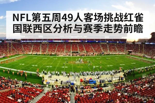 american football stadium crowd