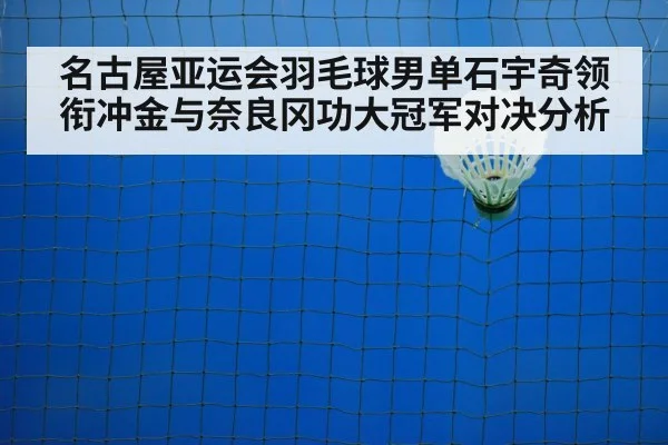 badminton shuttlecock net closeup